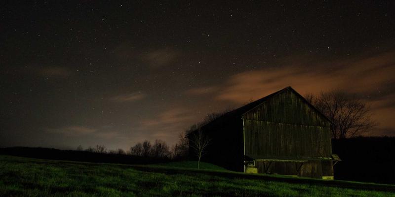 党史铸魂，党课赋能：以高质量党建引领乡村振兴战略实践