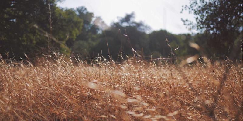 党建19：新时代党员教育与党建资讯融合发展的实践路径