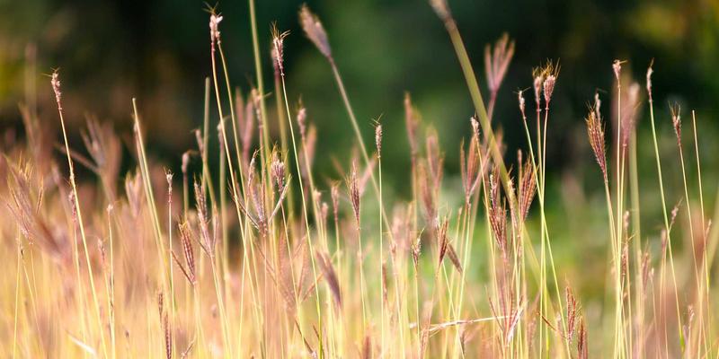 党建41：新时代党建工作的深化与创新路径探索