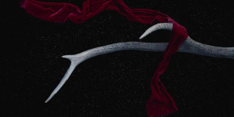 党建56：新时代党组织建设的核心路径与资讯赋能