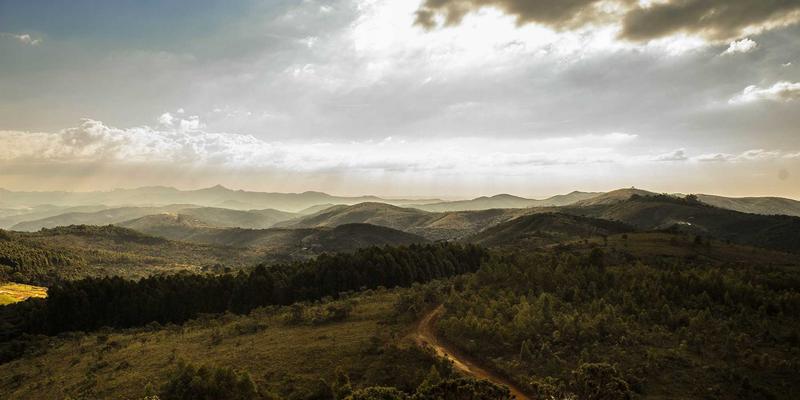 党建引领基层治理现代化：以高质量党建资讯、党课与党员教育构建共建共治共享新格局