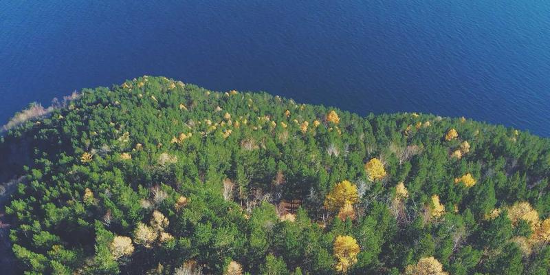 党建资讯一键直达：互联网+智慧平台如何赋能党组织建设与学习教育