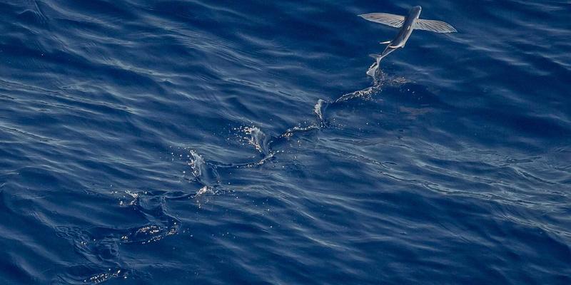 党建资讯 | 新时代机关党建与业务工作深度融合的实践路径探析