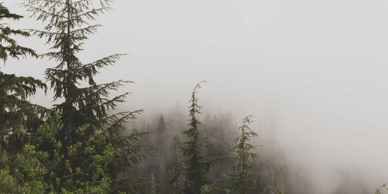 党组织建设与党建资讯传播:新时代党建工作的双轮驱动