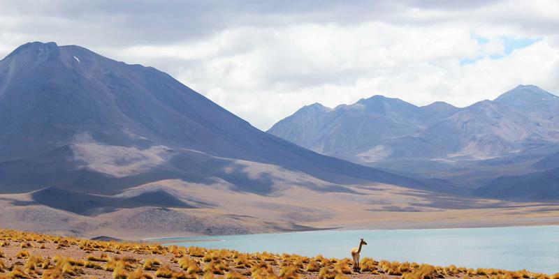 党课引领发展：新时代国有企业党建与生产经营深度融合的实践探索