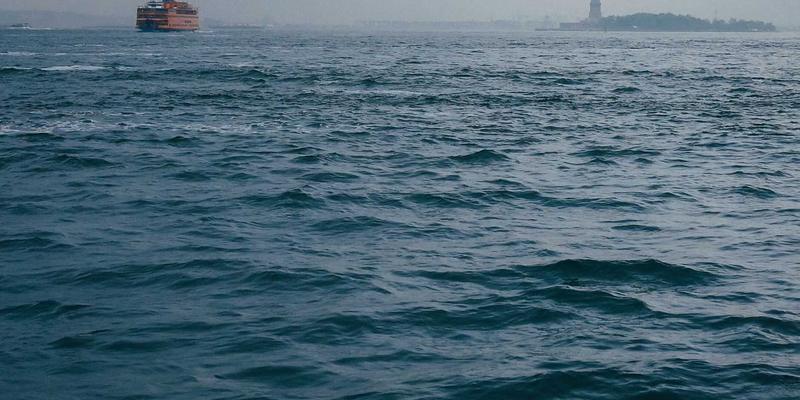 党课赋能与品牌引领：新时代基层党组织组织力提升的双轮驱动策略