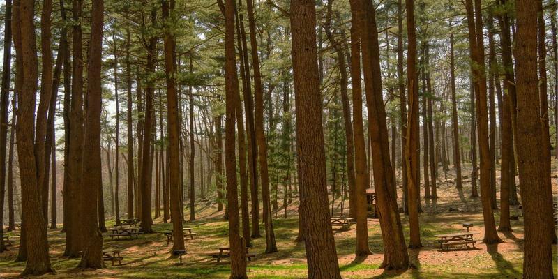 创新学习教育模式，构建跨区域党组织协作机制——破解流动党员教育管理服务难题