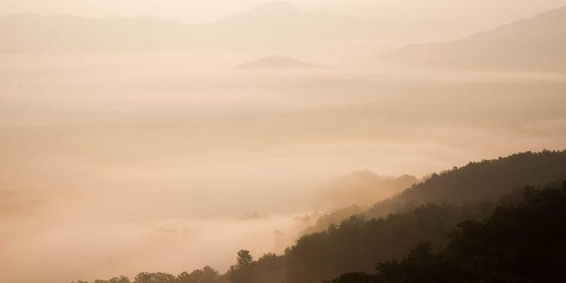 南湖党建73载：以学习教育筑牢党员教育根基，谱写新时代红色篇章