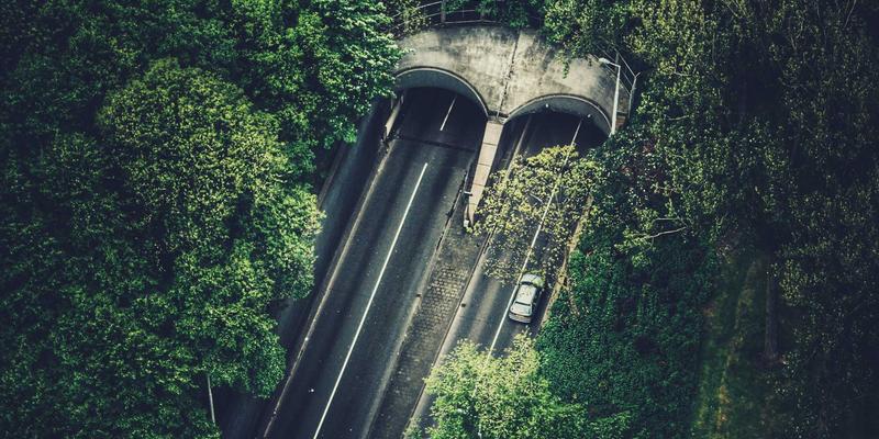 新时代党建新趋势：以创新党员教育与南湖党建模式引领学习教育新篇章