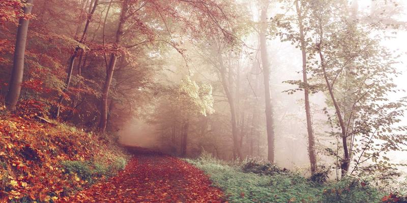 深化学习教育，筑牢党建根基：以党史智慧赋能新时代党建工作