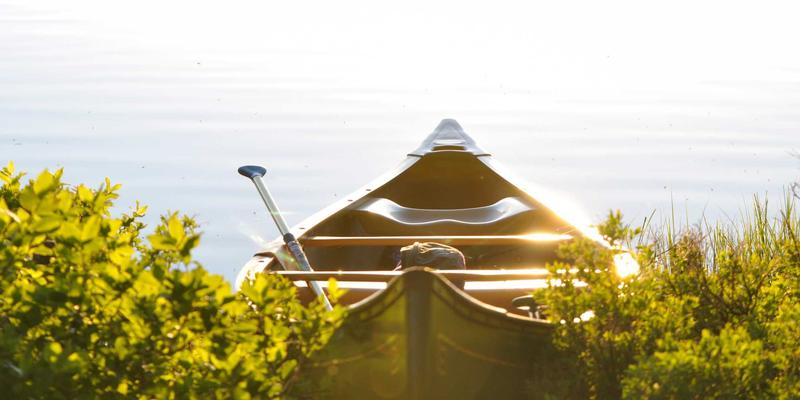 深化学习教育,筑牢党建根基:新时代党员教育的实践与思考