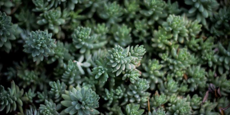 筑牢红色引擎：国有企业党建与公司治理的融合机制探析