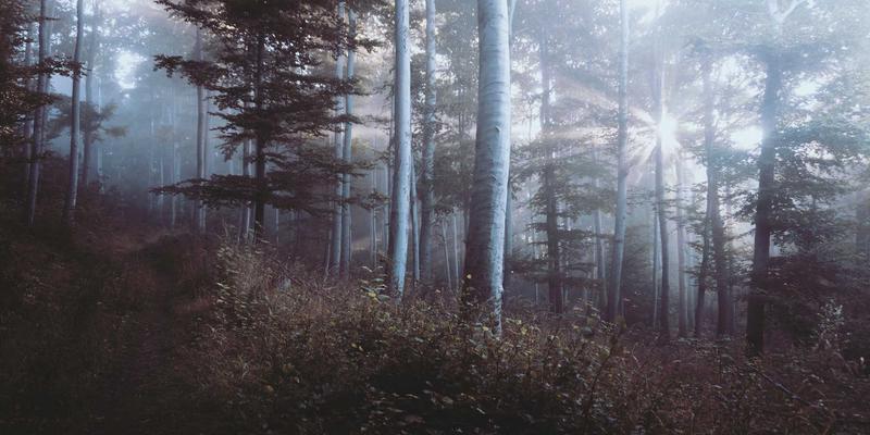 锤炼斗争精神 增强斗争本领：新时代党员干部能力养成的核心路径